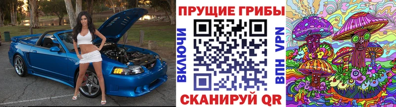 Галлюциногенные грибы ЛСД  Йошкар-Ола 